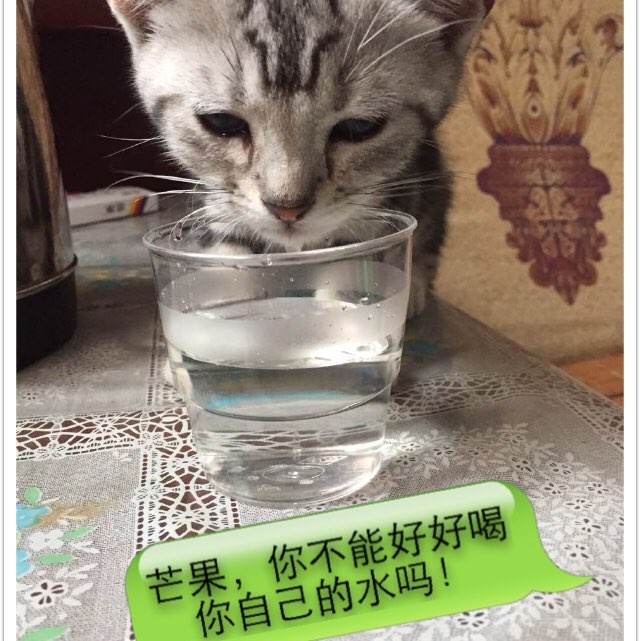 巴黎大学学历认证办理